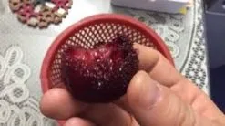 10 Σποροι Φυτο - Μυρικη Η Ερυθρα -Είδη Οικιακής Χρήσης 170ad65e8250a58167d70109c47b368b9900a136 xl