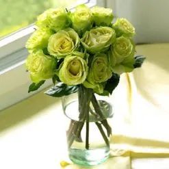 50 Σποροι Πρασινο Τριανταφυλλο