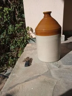 Αγγλικο κεραμικο δοχειο