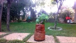 ΔΙΑΚΟΣΜΗΤΙΚΑ ΒΑΖΑ ΧΕΙΡΟΠΟΙΗΤΑ ΤΣΙΜΕΝΤΕΝΙΑ -Είδη Οικιακής Χρήσης 37545ea73495274734a31495a58f19470ddfdc82 xl