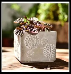 χειροποιητο τετραγωνο γλαστρακι τσιμεντου κλεφτης