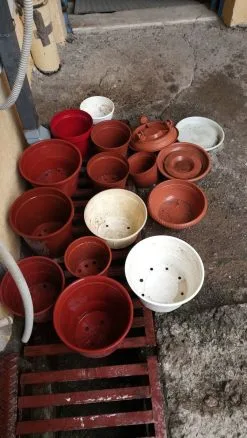 18 Γλαστρες πλαστικες+3 πιατα