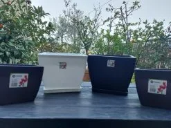 Viomes Linea 560, 561 Σετ