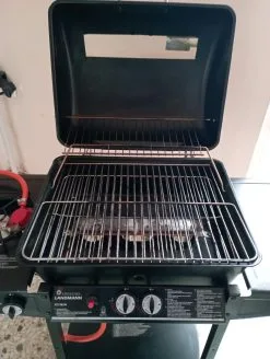 Ψησταριά υγραερίου