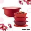 Tupperware 4 λίτρα και 450ml -Είδη Οικιακής Χρήσης d832aaf02140a60f2f982bc0a5fa78cf2b344add xl