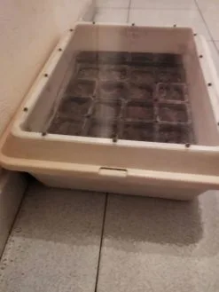 Mini χειροποίητο θερμοκήπιο σε λευκό χρώμα με 24 γλαστρακια. Αφαιρούμενο πλαστικό κάλυμμα με τζαμακι