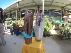 ΔΥΟ ΒΑΖΑ ΤΣΙΜΕΝΤΕΝΙΑ